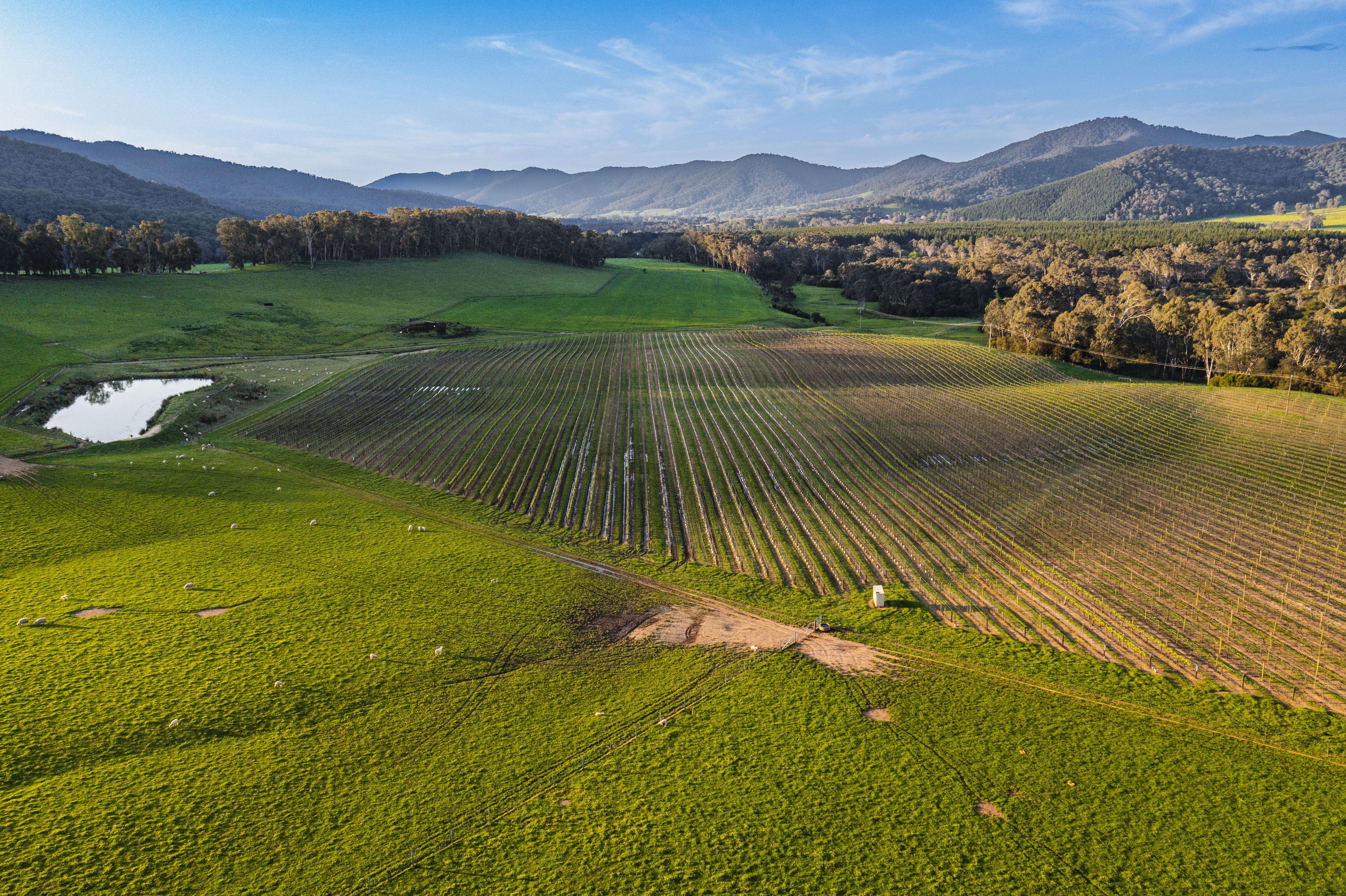 NAB agribusiness loans back farmers investing in a more sustainable future NAB agribusiness loans back farmers investing in a more sustainable future
