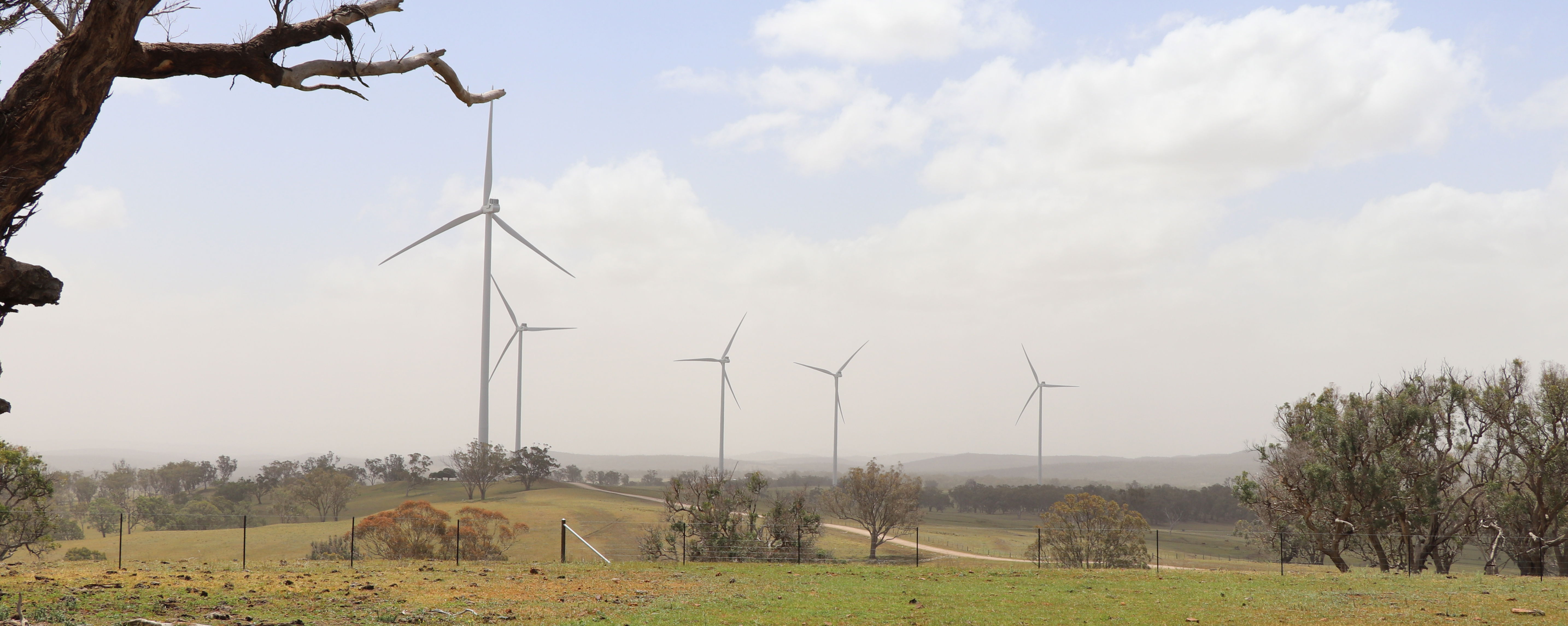 Sapphire Wind Farm adds sparkle to renewables sector