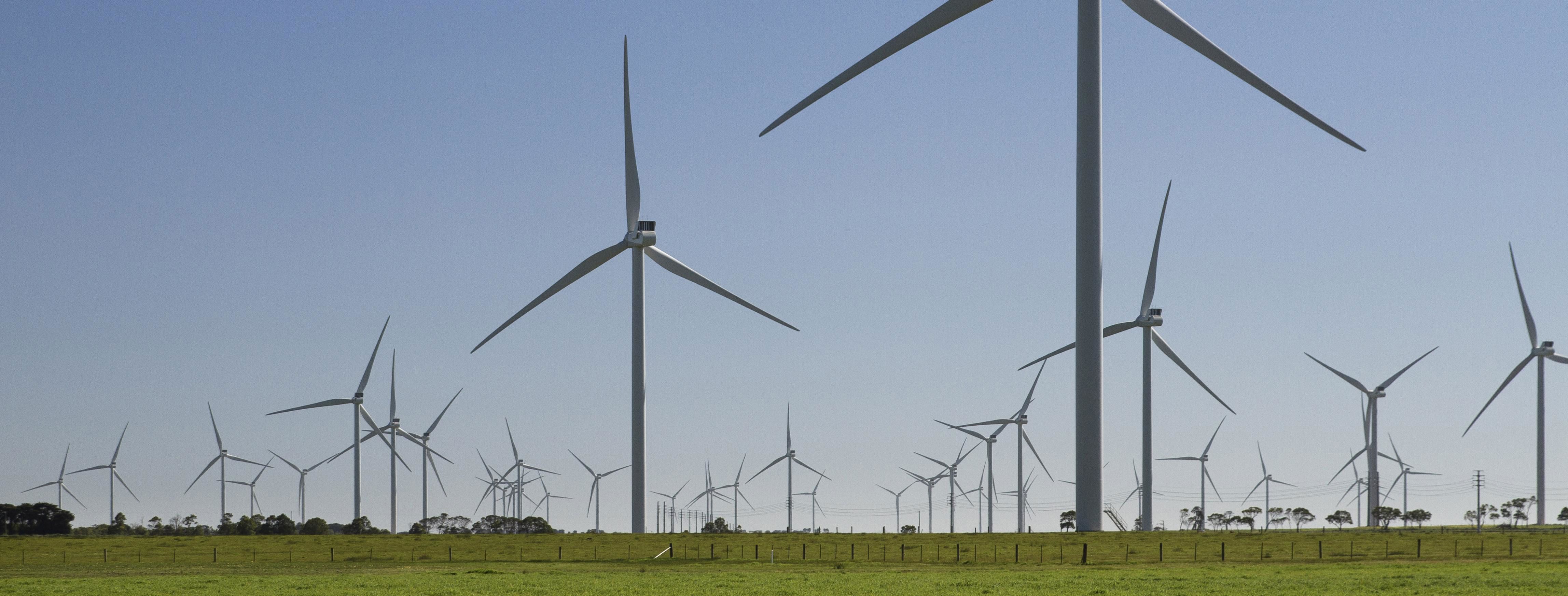 Macarthur Wind Farm offers financing model