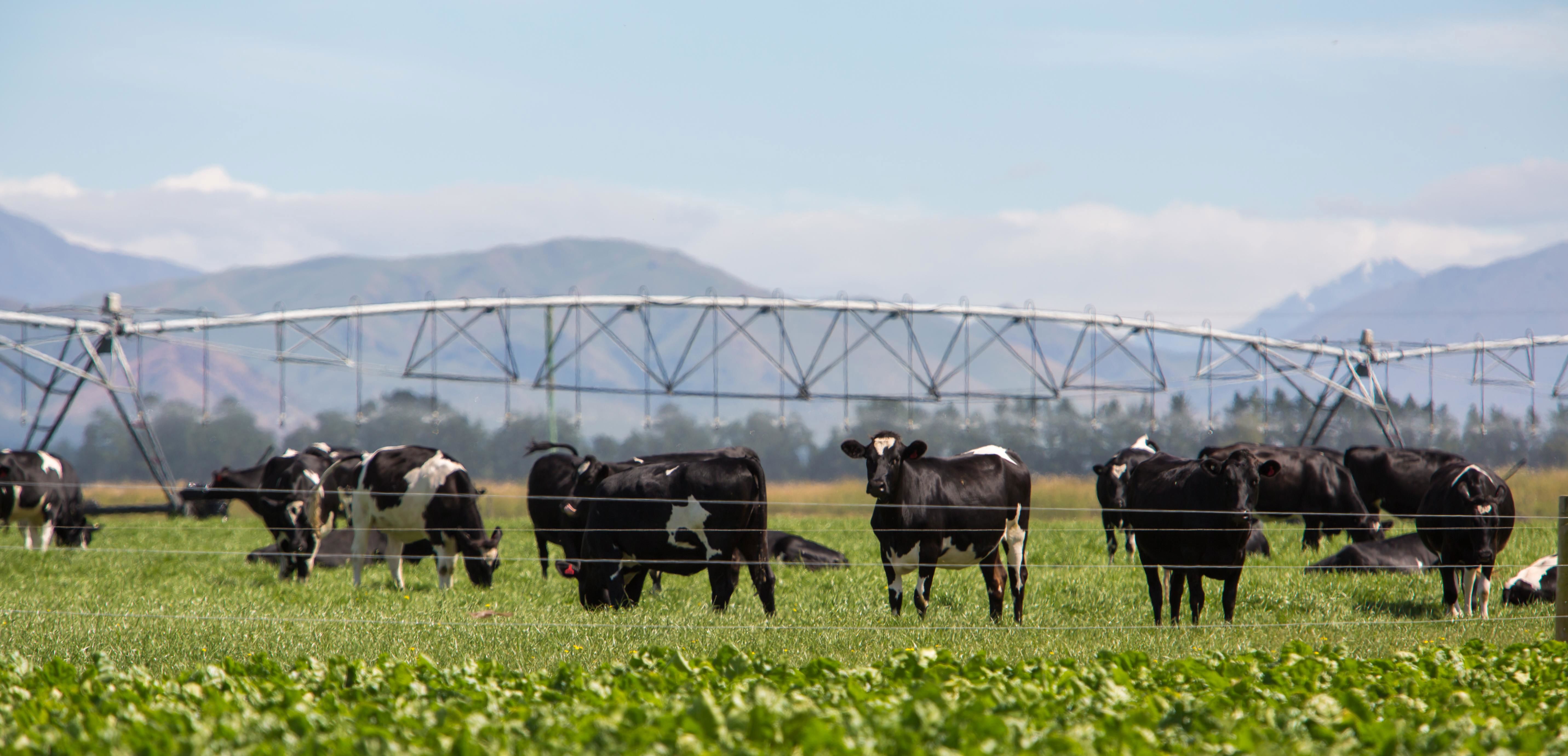 Transforming Australian agriculture with clean energy