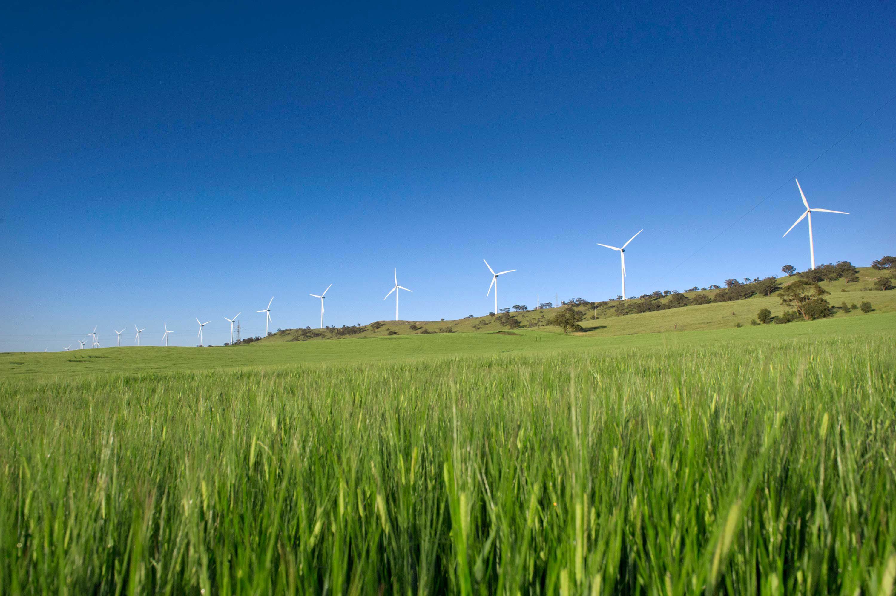 Granville Harbour Wind Farm