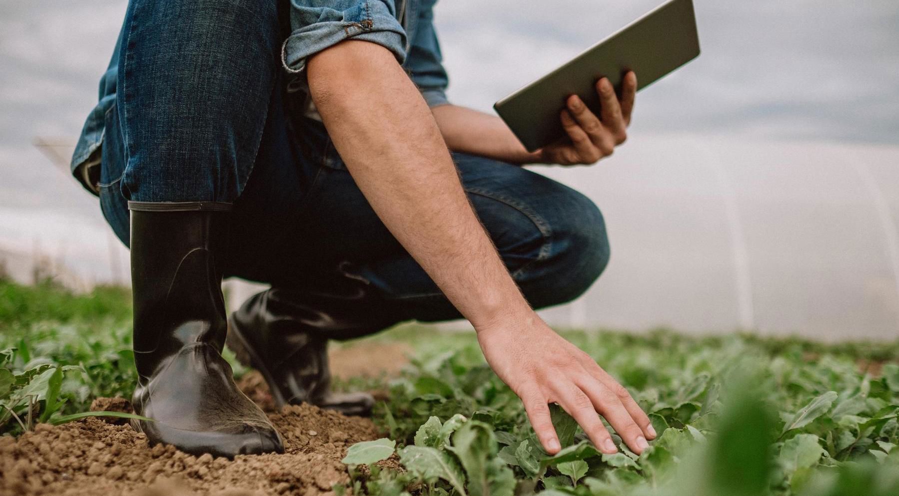 Measuring what matters: An approach for natural capital investors Measuring what matters: An approach for natural capital investors