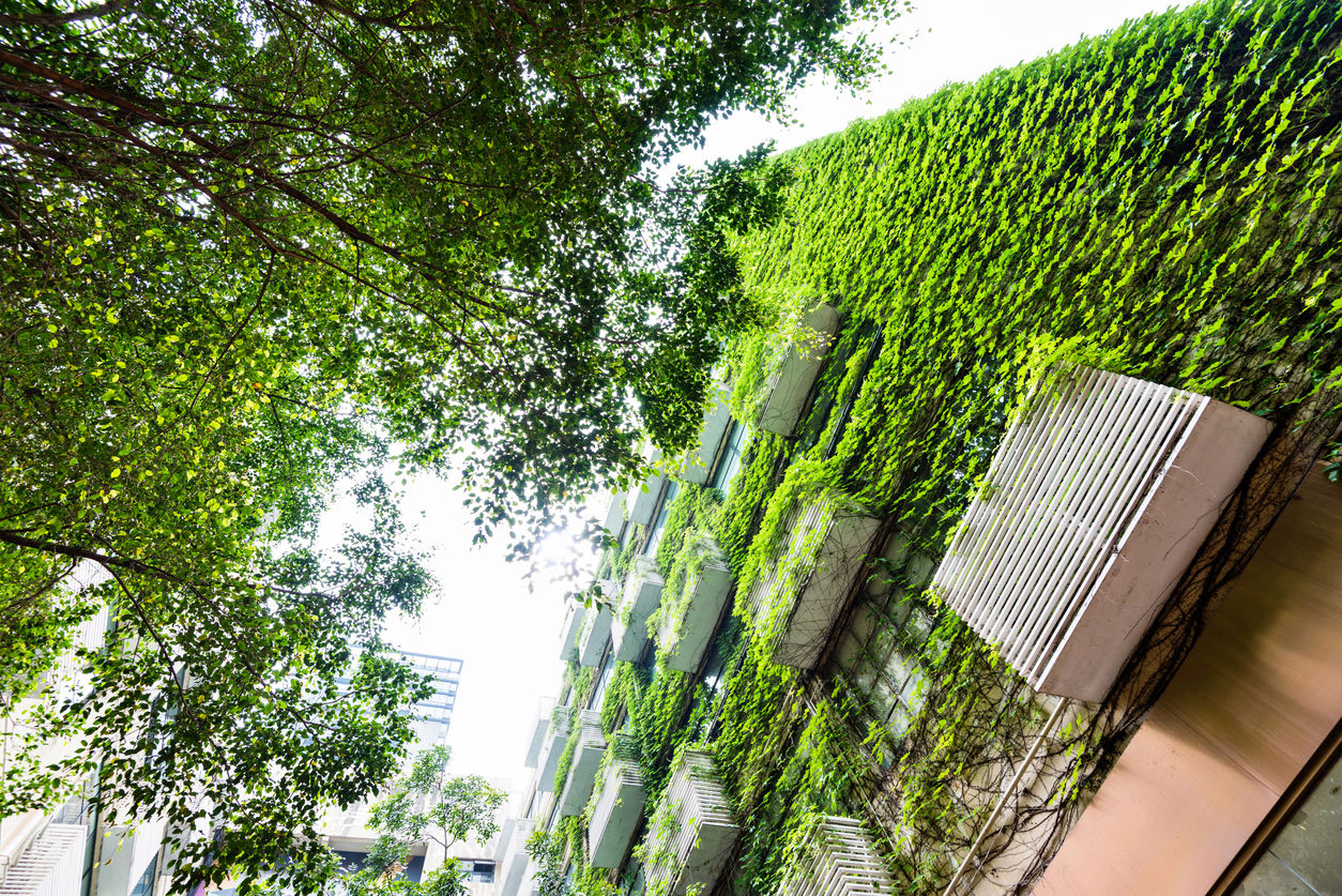 Decarbonising Australia’s housing sector with green RMBS Decarbonising Australia’s housing sector with green RMBS