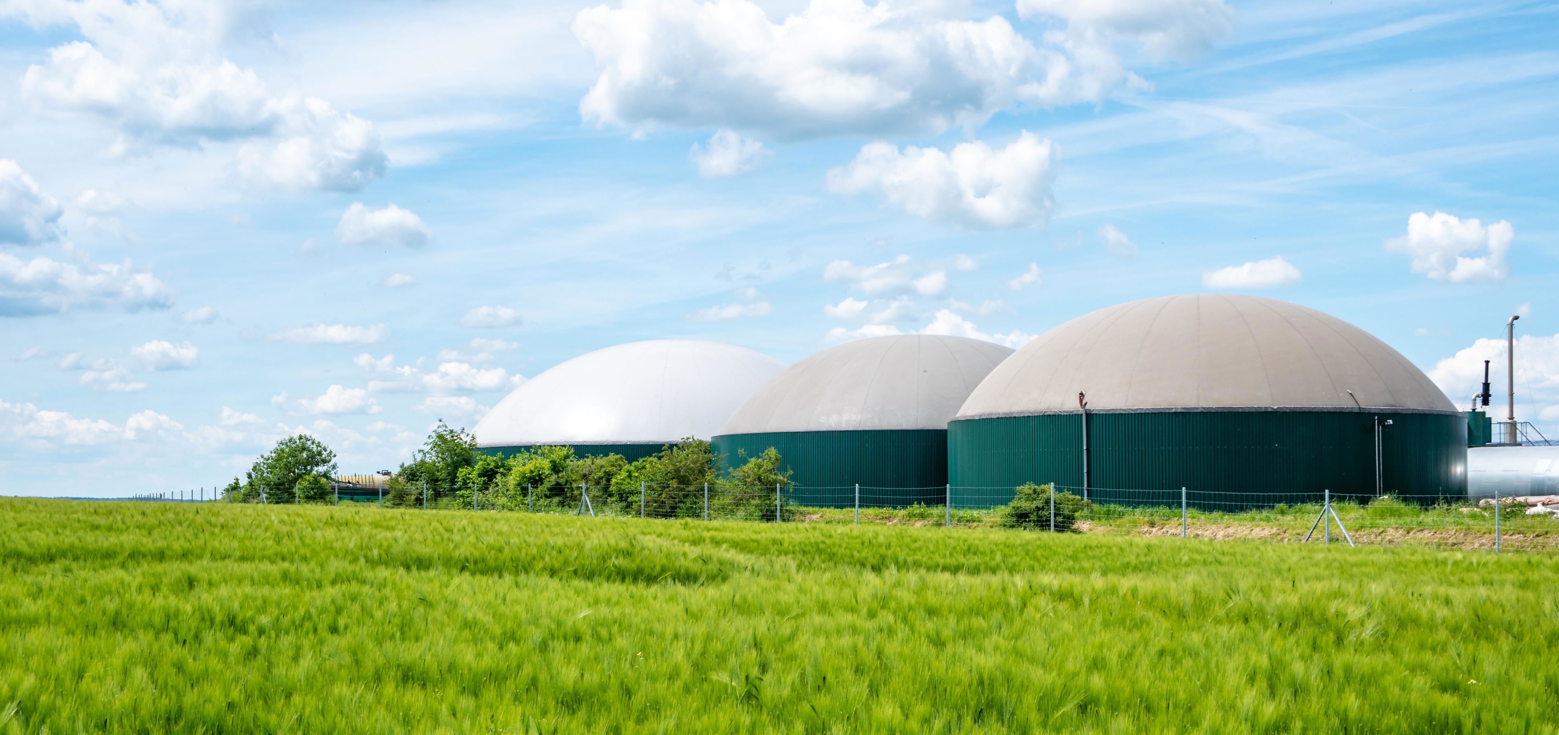 Biogas opportunities for Australia Biogas opportunities for Australia