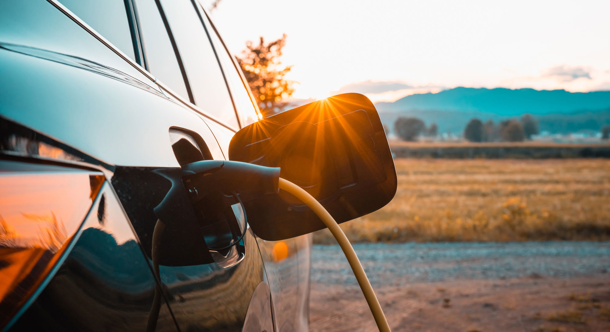 MetroEco loans drive clean energy savings for SMEs MetroEco loans drive clean energy savings for SMEs