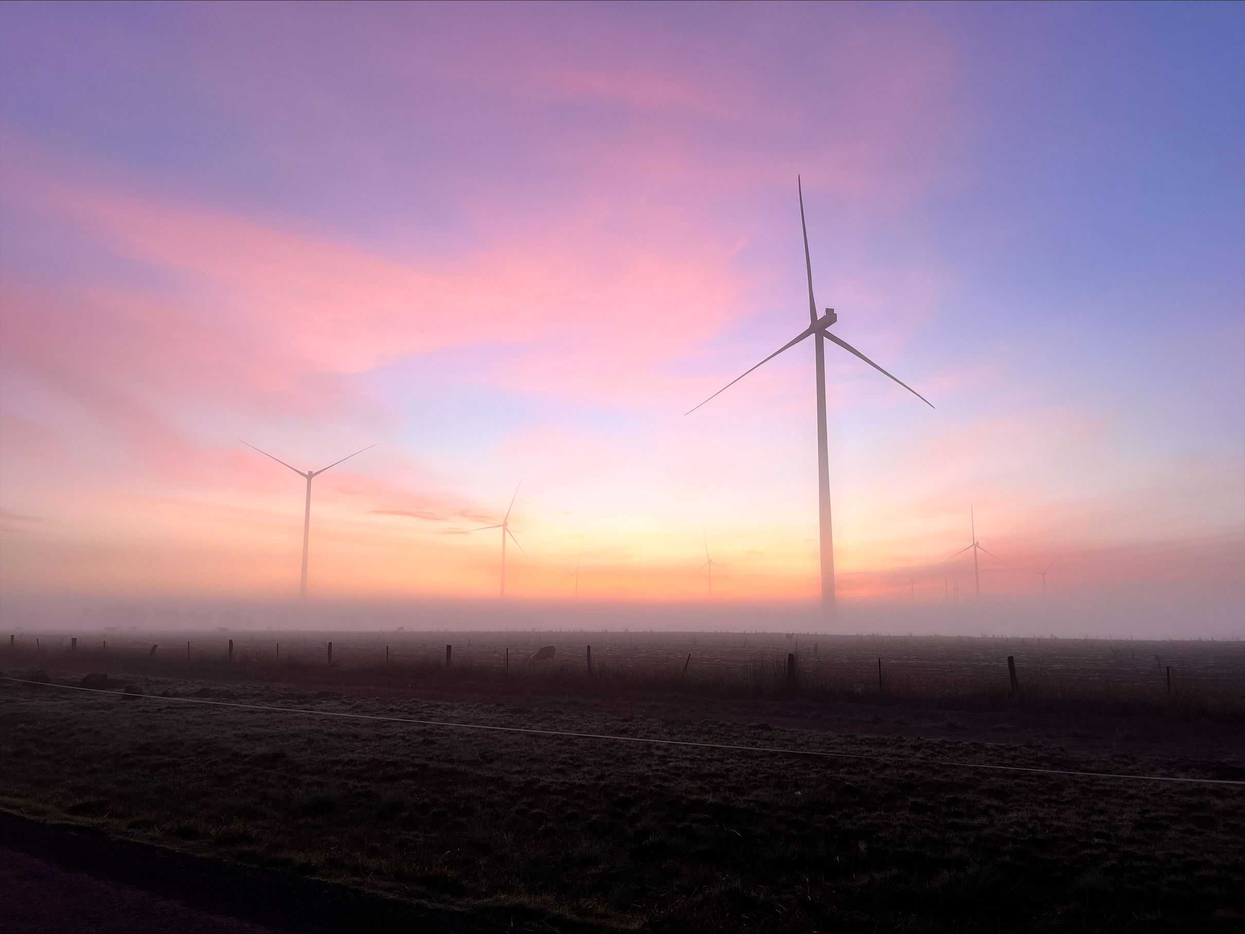 Goldenplainswindfarm (1)