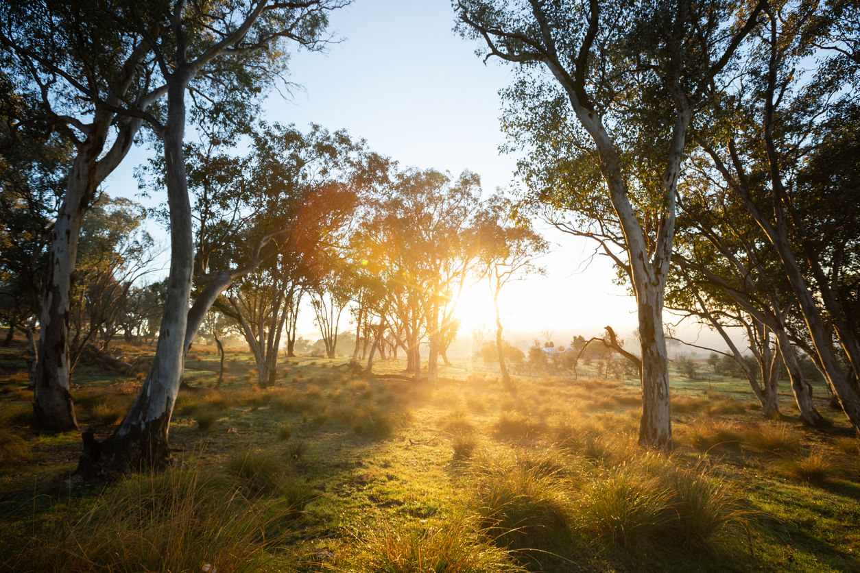 Rabobankaustralia