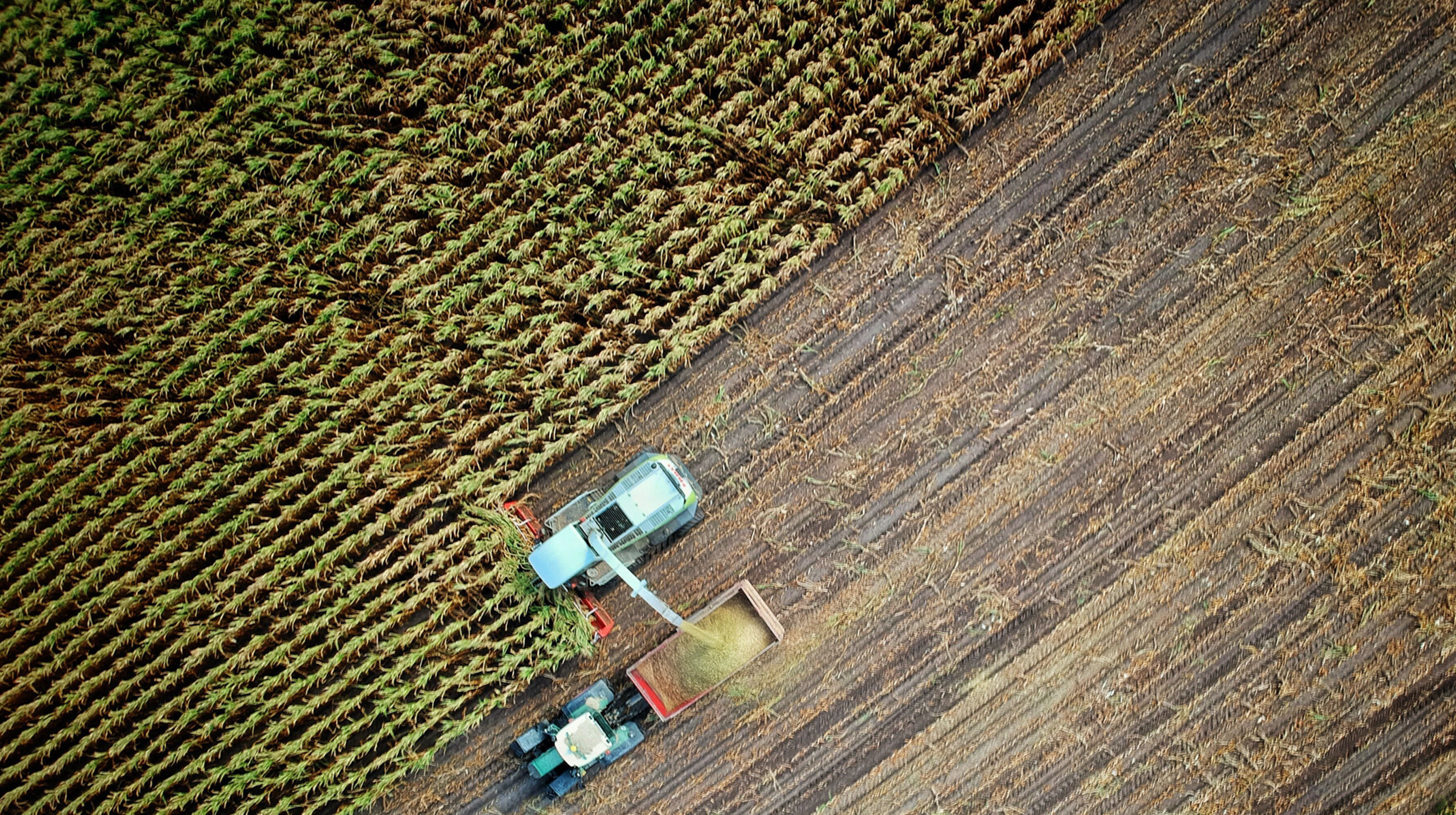 Using Microbes To Accelerate Carbon Removal, Loam Bio Raises AUD $40m ...