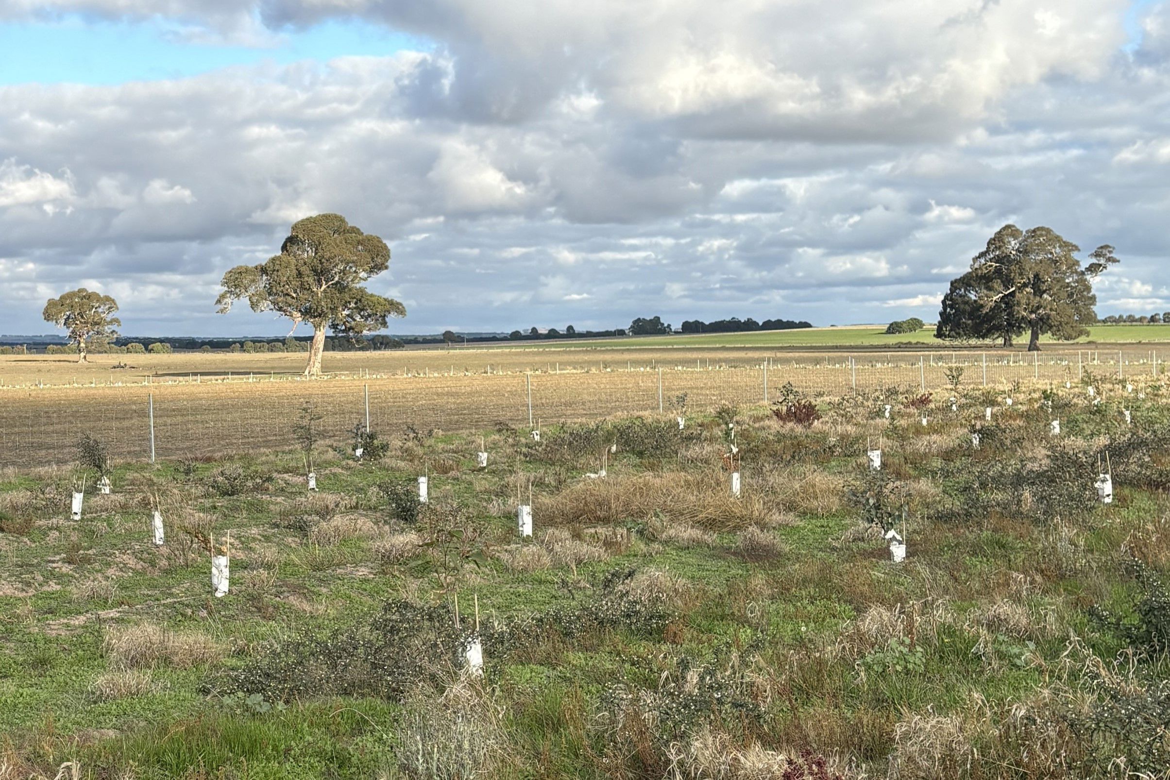 Paraway Field Paraway Field