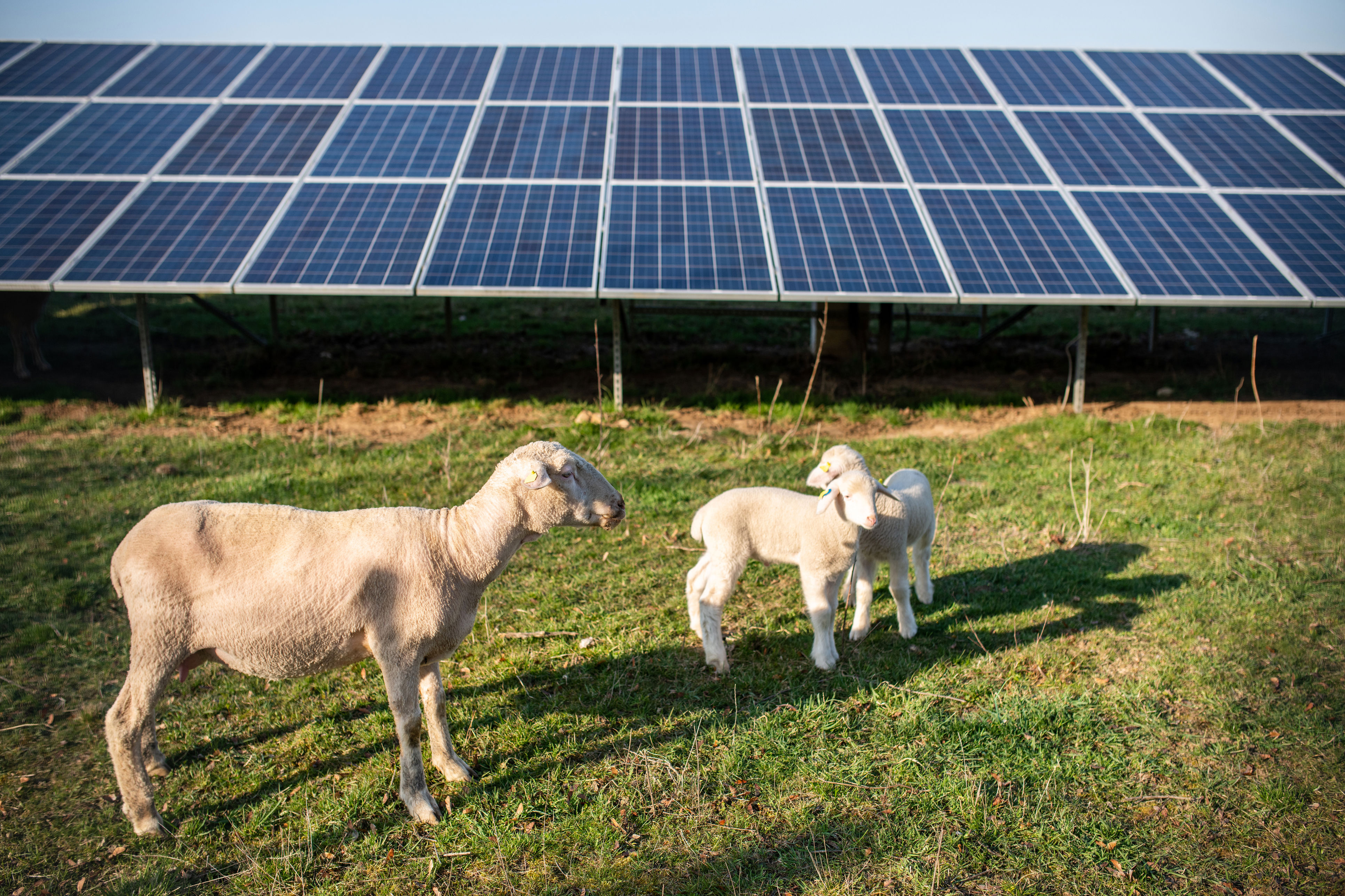 Blind Creek Solar